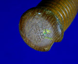 Antique US Spanish American War M 1880 Springfield Metal Guard Fighting Knife