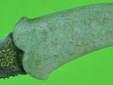 Antique 19 Century Middle East Indo Persian Jade Stone Horse Head Fighting Knife