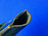 German Germany WW2 Dress Dagger Knife Bayonet Leather Frog