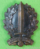 Replica of German Germany WW2 SA Badge Pin