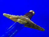 Vintage Hungarian Hungary Presentation Dagger Knife w/ Scabbard