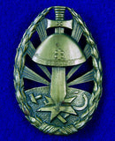 RARE Czechoslovakian Czechoslovakia WWII WW2 Badge Pin Medal Order Award